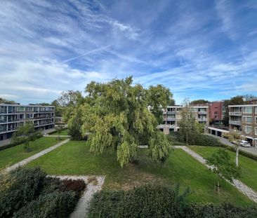 Fichtestraat, 3076 RC, Rotterdam - Photo 3