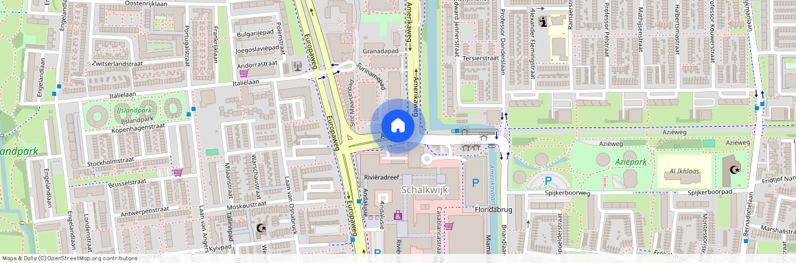 Romolenpolder-oost, 2035 RR, Aziëweg, Haarlem