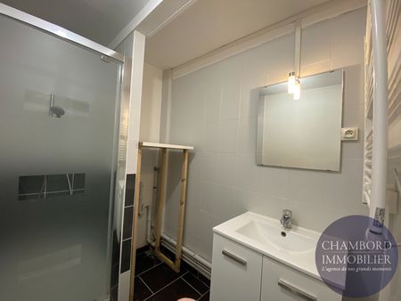 BLOIS - Centre-ville quartier Vienne - T2 - Photo 3