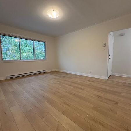 Magnifique 4 ½ neuf de A à Z, Confort et tranquillité à Montréal - Photo 3