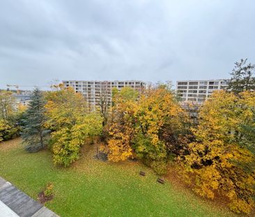 Bel appartement meublé de 3.5p aux Eaux-Vives - Photo 2