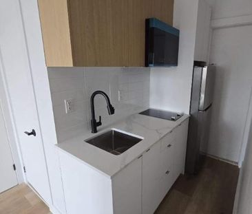 1 CH - 1 SDB - Montréal - $1,190 /mo - Photo 1