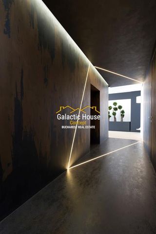 PENTHOUSE HERASTRAU VEDERE PANORAMICA***galactichouse ro*** de inchiriat Herastrau, Bucuresti - Photo 5