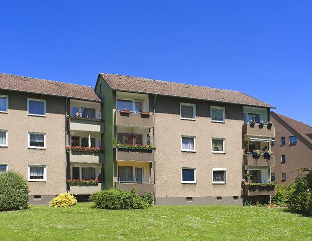 Demnächst frei! 2-Zimmer-Wohnung in Ahlen Ahlen - Photo 1