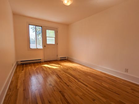 10653 Rue de Lille Montréal (Ahuntsic-Cartierville), QC H2B - Photo 3