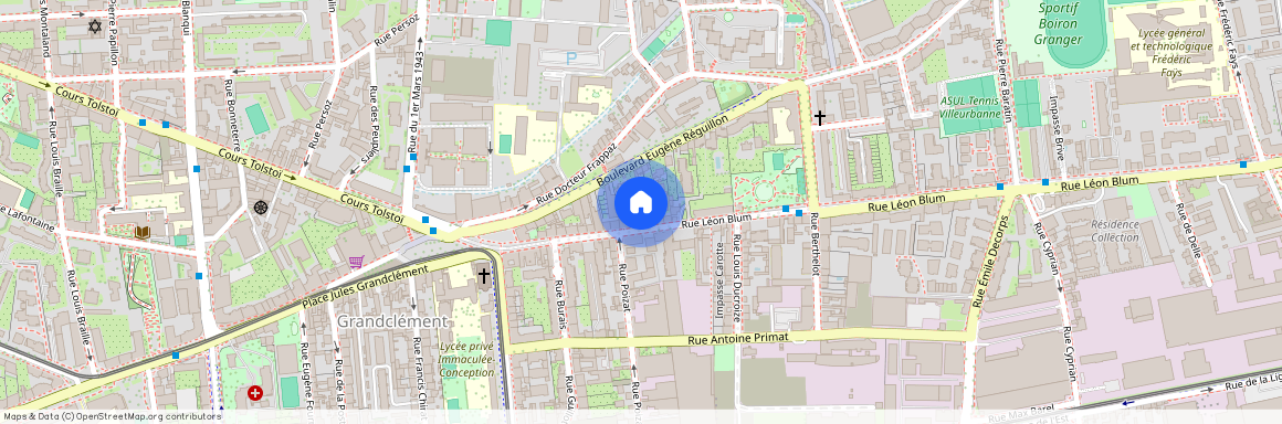 29 Rue Léon Blum, 69100 Villeurbanne