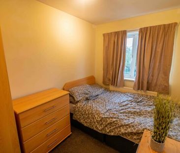 1 Belgrave Street - Photo 4