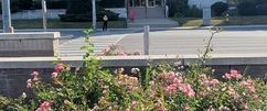 2 Bedroom Apartment Available | 1059 Don Mills Road, Toronto - Photo 1