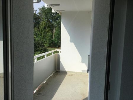 Demnächst frei! 3-Zimmer-Wohnung in Gelsenkirchen Hassel - Photo 3