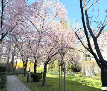 Grünruhelage nahe Glanzing! Perfekt geschnittene 3-Zimmer-Wohnung m... - Photo 4