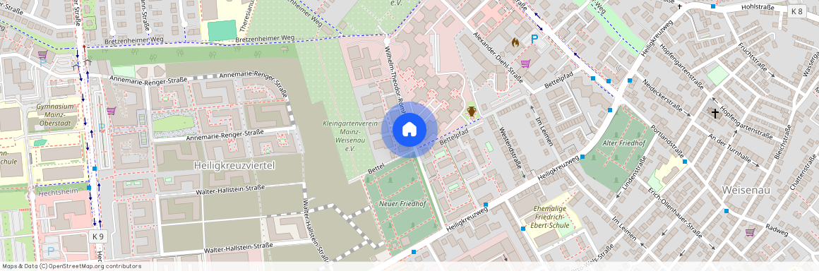 Wilhelm-Theodor-Roemheldstrasse Mainz Mainz Rheinland-Pfalz 55130