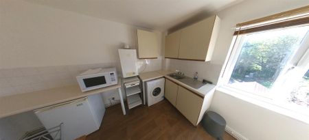 Orchard Lodge, Hyde Park, LS6 2EN, Leeds - Photo 4