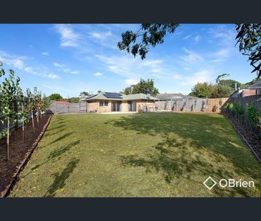 93 Raphael Crescent, Frankston, Vic 3199 - Photo 5