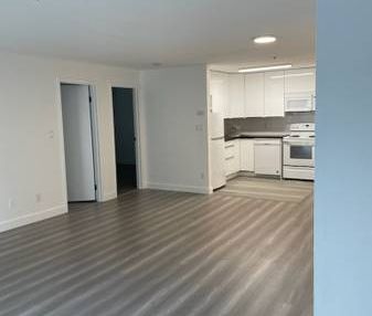 Large Renovated 2 Bedroom in Great location - Photo 2