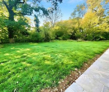 Burley Lane, Ashe, Basingstoke, RG25 - Photo 5