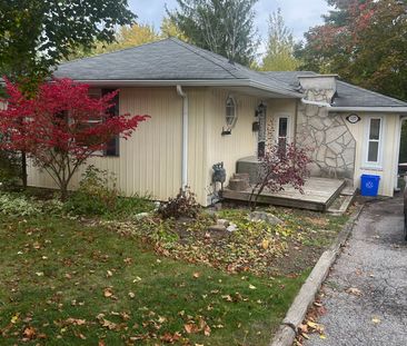 For Lease - 137 Gurnett Street Unit# Bsmt, Aurora, Ontario - Photo 5