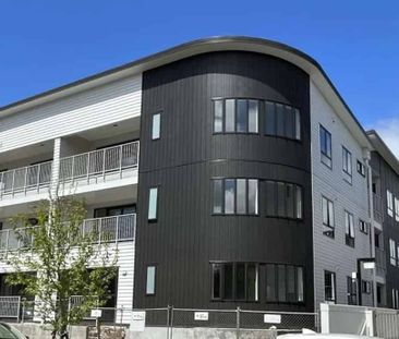 Flat Bush, 1 bedroom - Photo 3