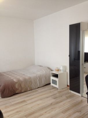 Location Appartement 1 pièce 26m² STRASBOURG 67000 - Photo 1