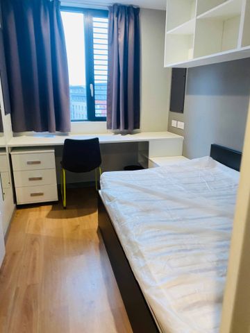 Double Wheelchair Accessible Studio - Photo 5