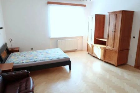 Pronájem plně vybaveného cihlového bytu 1+1 o výměře 52,3 m - Photo 5