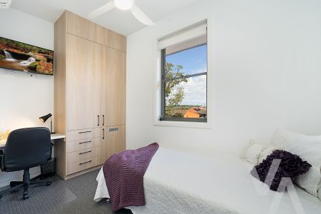 6 Highfield Street, Mayfield NSW 2304 - House For Rent | Domain - Photo 5