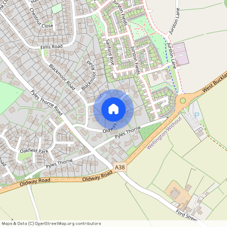 Oldway Park, Wellington