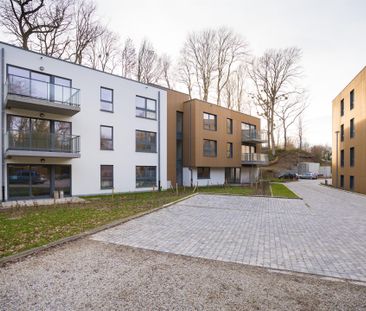 5100, Jambes - Photo 4