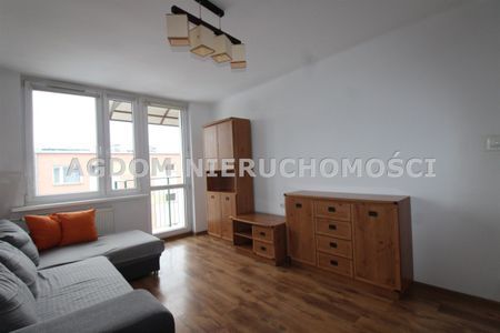 Kazimierza Wielkiego, Włocławek - Zdjęcie 5