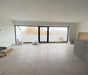 rue Docteur André 113/6, 7890 Ellezelles - Photo 5
