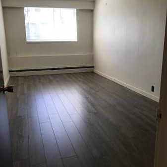 Huge 4 bedroom, 2 bathroom, 1st floor apt - Photo 1