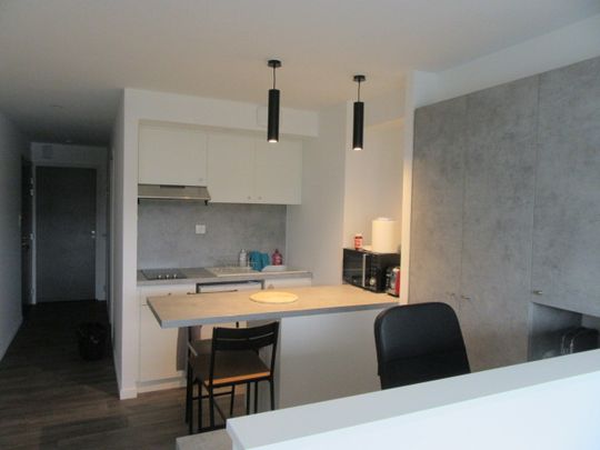 Appartement Meublé - La Roche Sur Yon 2 pièce(s) 33.61 m2 - Photo 1