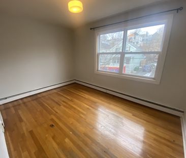 3223 Veith – CHARMING TOP FLOOR 3 BED 1 BATH NORTH END APT AVAILABL... - Photo 4