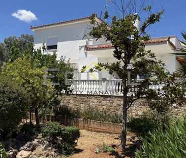 Μονοκατοικία για ενοικίαση Μαρκόπουλο - Photo 1