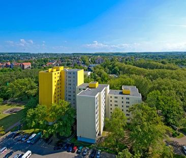 Demnächst frei! 2-Zimmer-Wohnung in Dortmund Hörde (WBS für 2P erfo... - Foto 1