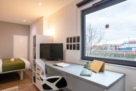 Deluxe Studio - Photo 2