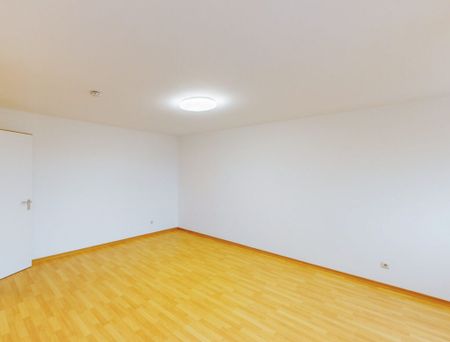 2-Zimmer-Wohnung in ruhiger Lage - Photo 3