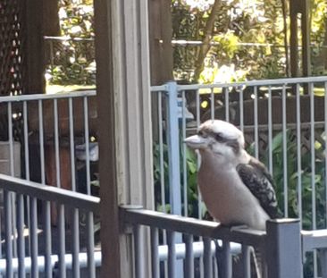 Goonellabah - Photo 5