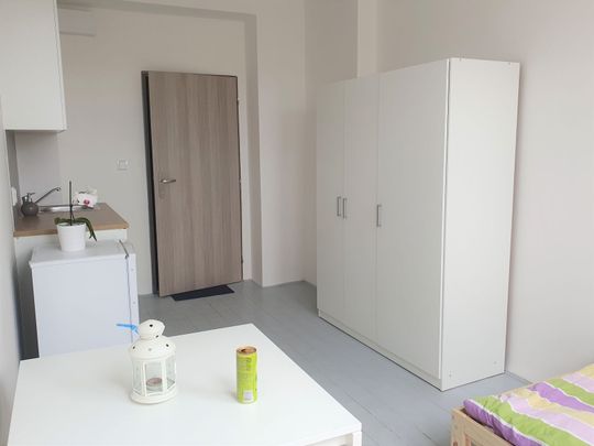 Pronájem bytu Garsoniéra • 22 m² bez realitkyMoskevská, Praha - Vršovice - Fotografie 1