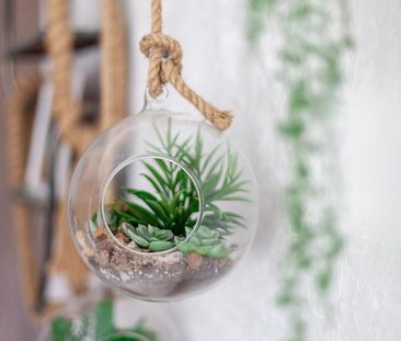 1 bedroom flat to rent - Photo 6