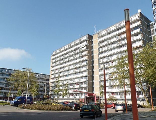 172, Wederikstraat, 2403 CJ, Alphen Aan Den Rijn - Photo 1