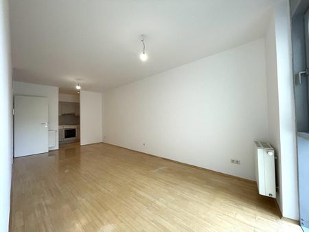 Ruhige Neubauwohnung im Architektenhaus + Blick ins Grüne // Ab Dezember!! - Foto 5