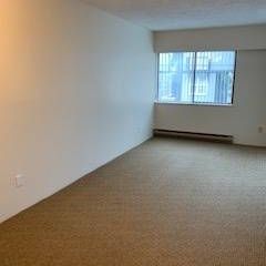 1 Bedroom Apartment in Kitsilano - 2 BLOCKS TO KITS BEACH - Photo 4