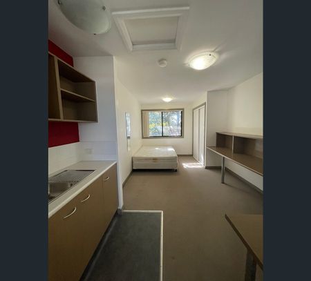 58 Harriet Street, Waratah, NSW 2298 - Photo 5