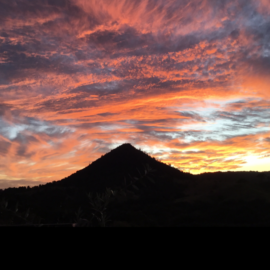 Queenslander With Stunning Views - Photo 1