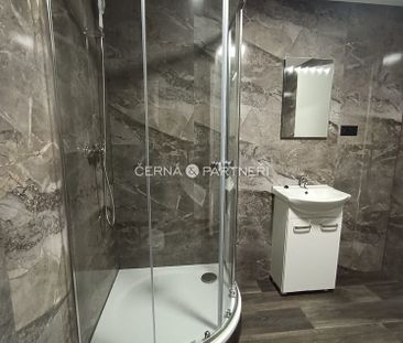 Pronájem bytu 3+1 53 m² - Photo 3