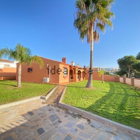 Alquiler de casa o chalet independiente en Calle Pinar de Calypso s/n - Photo 2