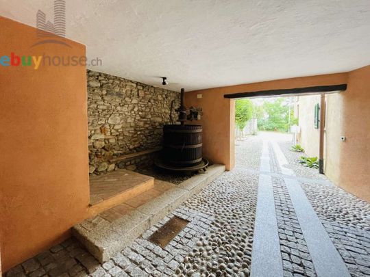 CHARM AND RELAXATION IN AN ANCIENT FARM - Photo 1