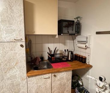 Nachmitte suchen - Photo 1