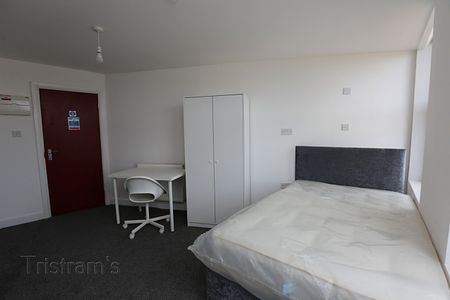 1 bed Studio for Rent - Photo 3