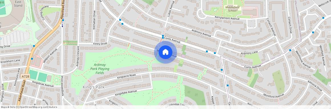 Montford Avenue, Kingspark, Glasgow, G44 4NZ